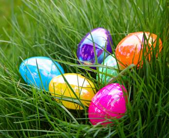Easter Egg Hunt