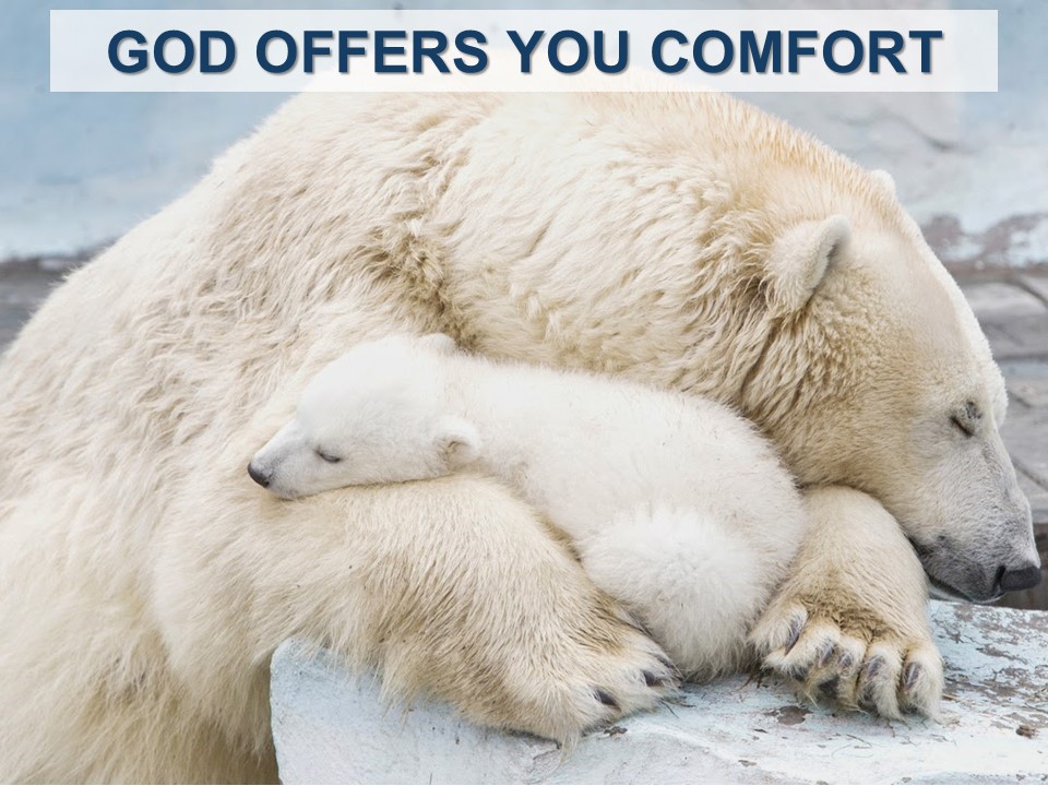 God Offers You Comfort