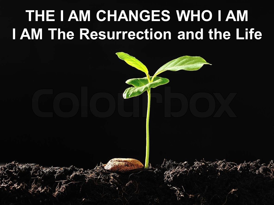 The I AM Changes Who I Am: I AM the Resurrection and the Life