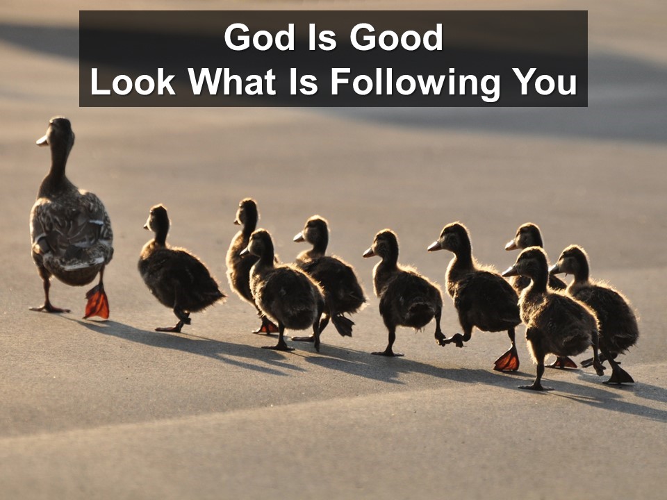 God Is Good: Look What Is Following You