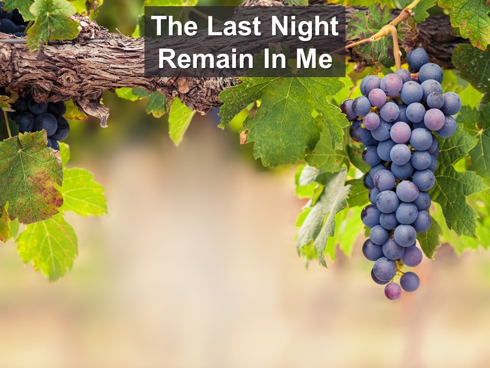 The Last Night: Remain in Me