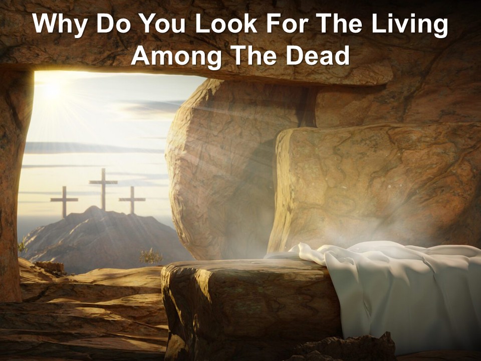 Why Look for the Living Among the Dead